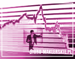 makler giełdowy online, trading forex rynki giełda, granie na giełdzie inwestycje internetowe, wealth solution brokerzy giełdowi ryzykowne lokaty walutowe złoto