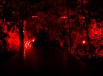 Bella Skyway Festival: najlepsza edycja wydarzenia