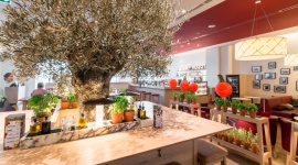 Akustyczny wieczór w Vapiano w Sukcesji LIFESTYLE, Muzyka -