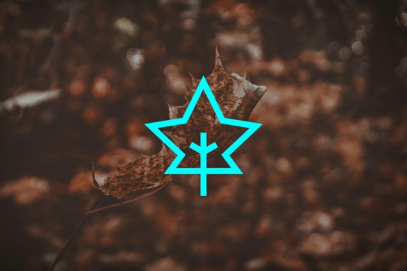 Terapeutyczna moc muzyki z TIDAL LIFESTYLE, Muzyka - Nie od dziś wiadomo, że muzyka ma ogromny wpływ na człowieka również w strefie „pozamuzycznej”. Odgrywa wielką rolę w postrzeganiu otaczającej rzeczywistości, generuje konkretne emocje, a nawet wspiera procesy uczenia.